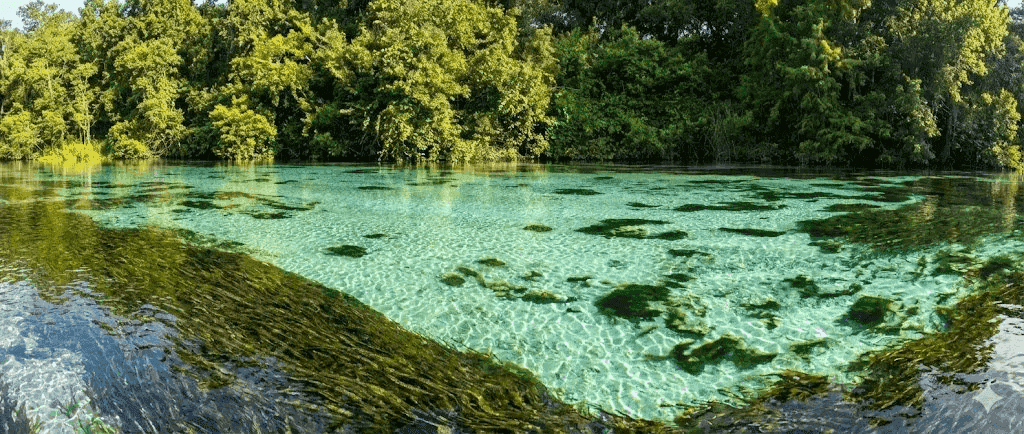 Aerial view of Weeki Wachee Springs showing crystal clear turquoise water and natural Florida vegetation